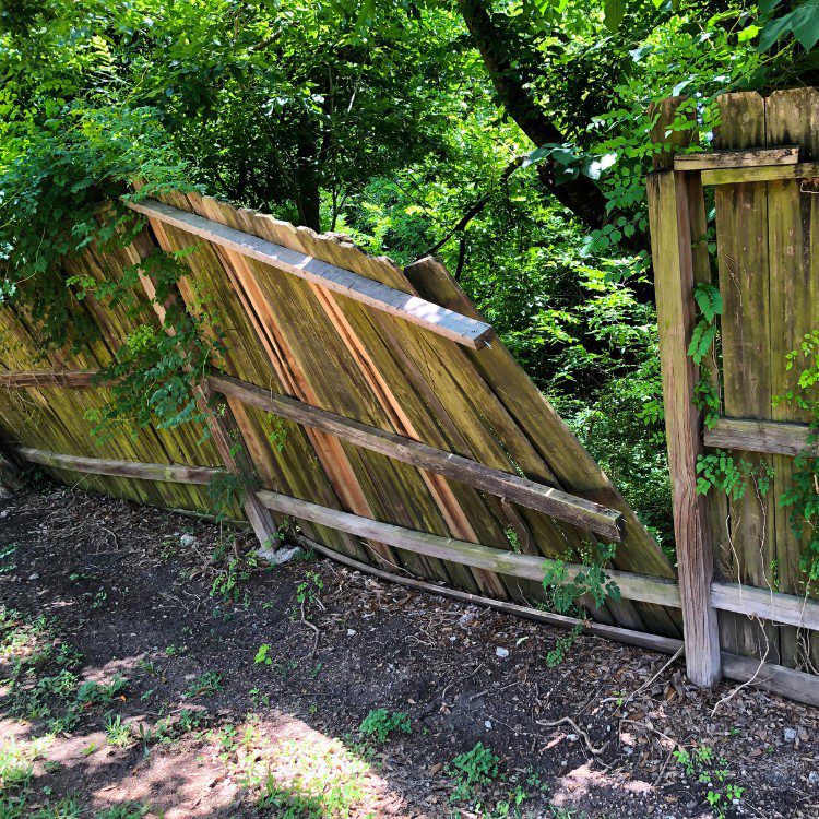 Damage Restoration in Jacksonville, NC