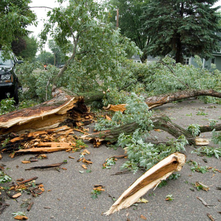 Damage Restoration in Jacksonville, NC