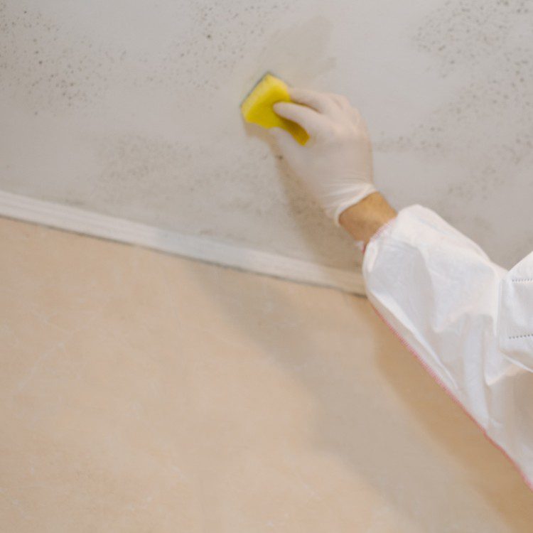 Damage Restoration in Jacksonville, NC