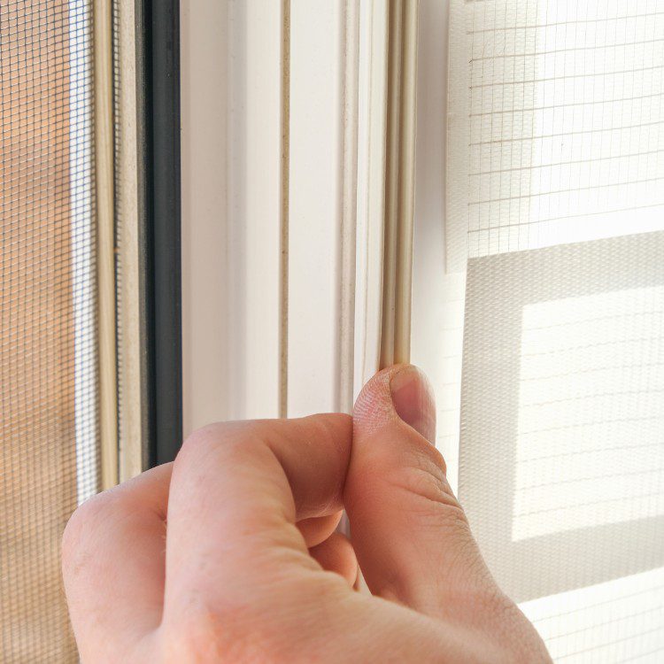 Damage Restoration in Jacksonville, NC