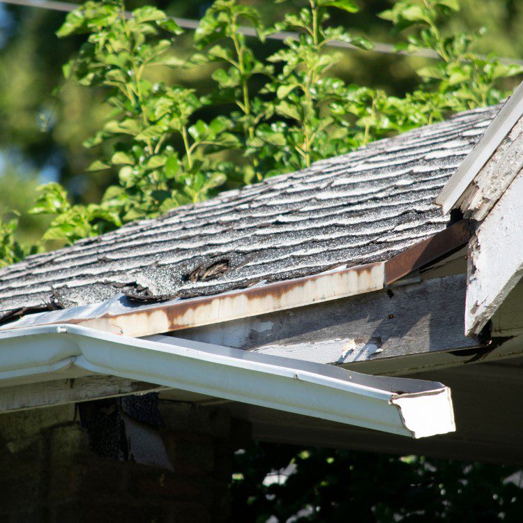 Damage Restoration in Jacksonville, NC