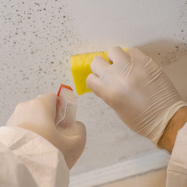 Damage Restoration in Jacksonville, NC
