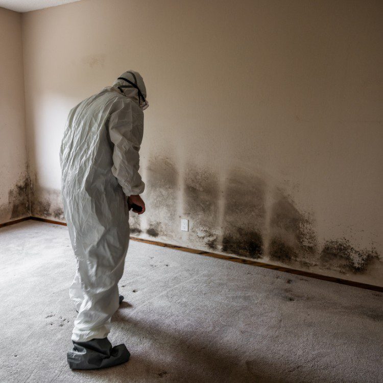 Damage Restoration in Jacksonville, NC