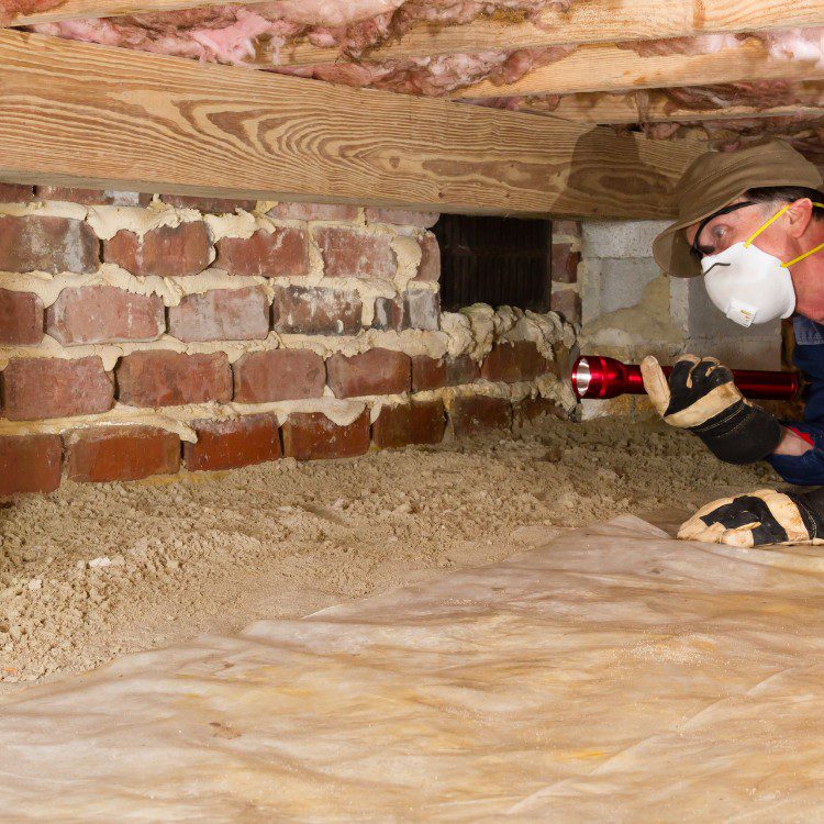 Damage Restoration in Jacksonville, NC