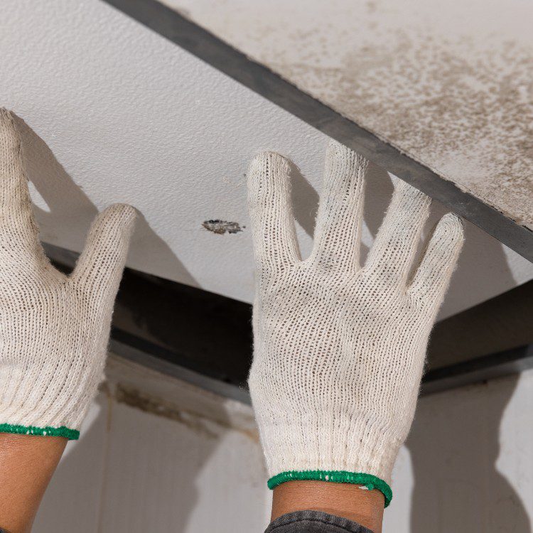 Damage Restoration in Jacksonville, NC